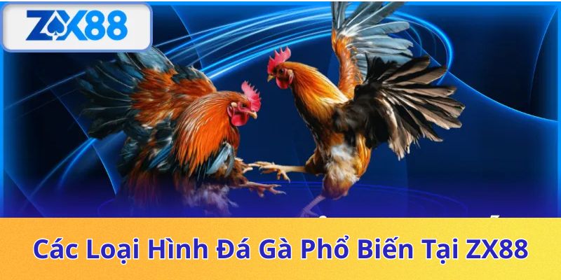 Các loại hình đá gà tại ZX88
