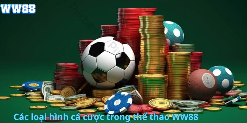 Các loại hình cá cược trong thể thao WW88